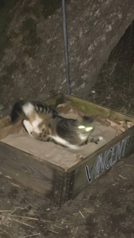 Lukas Malte Hoffmann