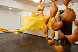 Lukas Malte Hoffmann