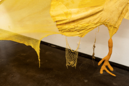 Lukas Malte Hoffmann