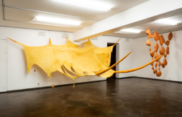 Lukas Malte Hoffmann