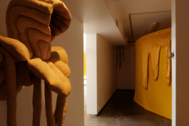 Lukas Malte Hoffmann