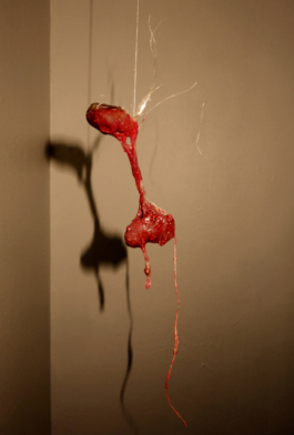 Lukas Malte Hoffmann