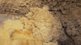 Lukas Malte Hoffmann