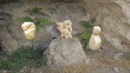 Lukas Malte Hoffmann