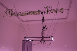 Lukas Malte Hoffmann