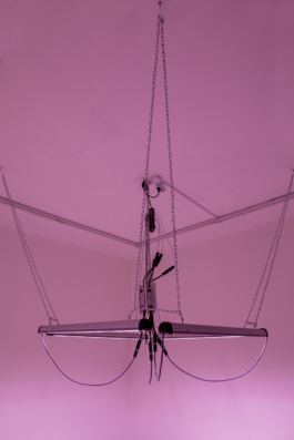 Lukas Malte Hoffmann