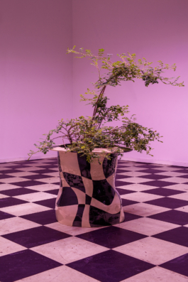 Lukas Malte Hoffmann