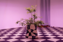 Lukas Malte Hoffmann