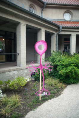 Lukas Malte Hoffmann