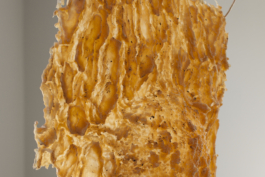 Lukas Malte Hoffmann