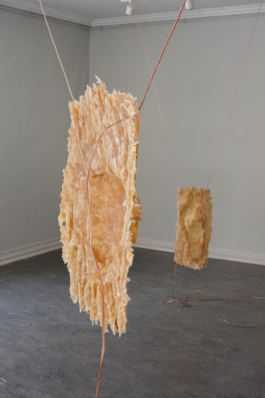 Lukas Malte Hoffmann