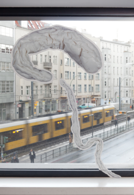 Lukas Malte Hoffmann