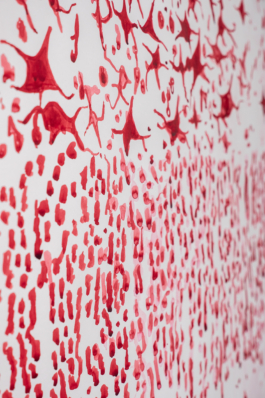 Lukas Malte Hoffmann