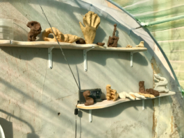 Lukas Malte Hoffmann