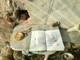 Lukas Malte Hoffmann