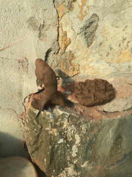 Lukas Malte Hoffmann