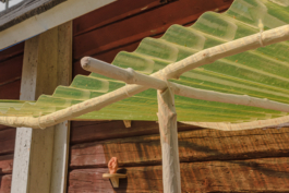 Lukas Malte Hoffmann