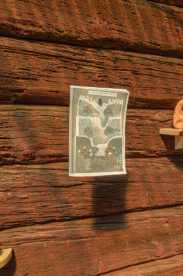 Lukas Malte Hoffmann