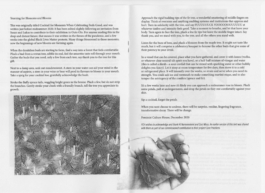 Lukas Malte Hoffmann