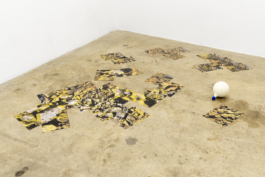 Lukas Malte Hoffmann