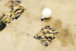 Lukas Malte Hoffmann